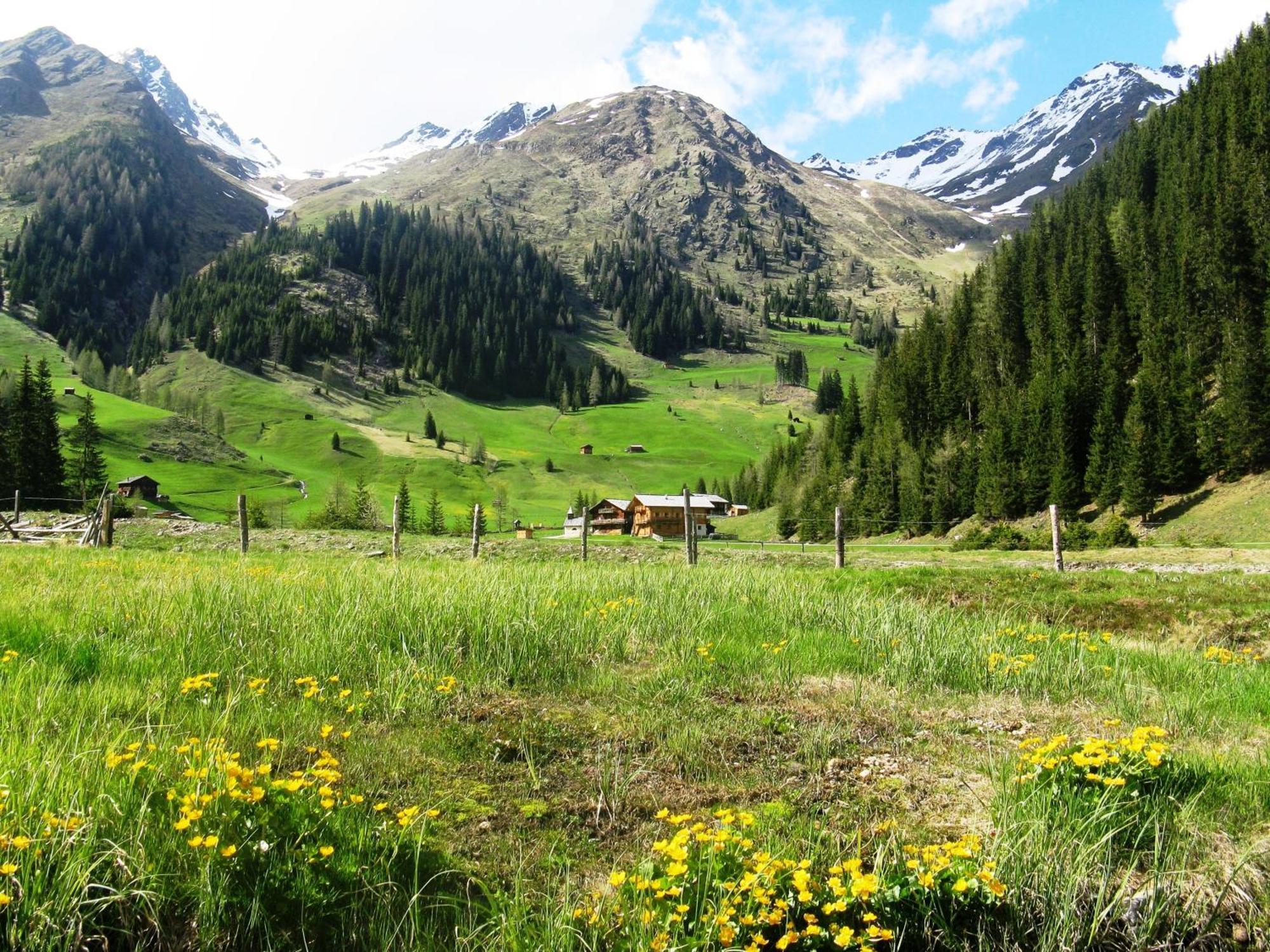 انرفلغراتن Die Natur Residenz المظهر الخارجي الصورة
