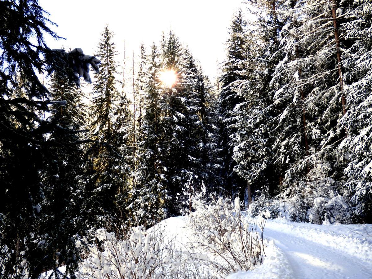 انرفلغراتن Die Natur Residenz المظهر الخارجي الصورة